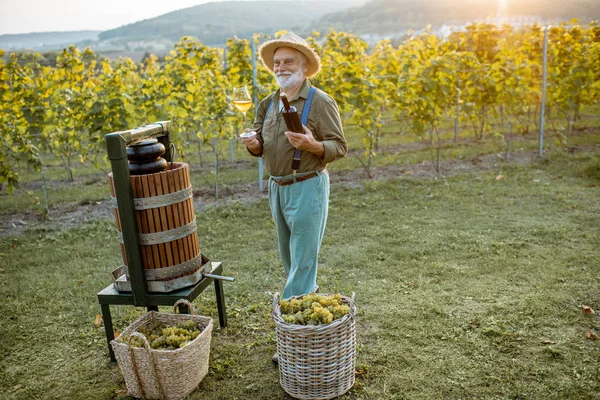 Senior winemaker with wineglass and press machine on the vineyard — Stock Photo, Image