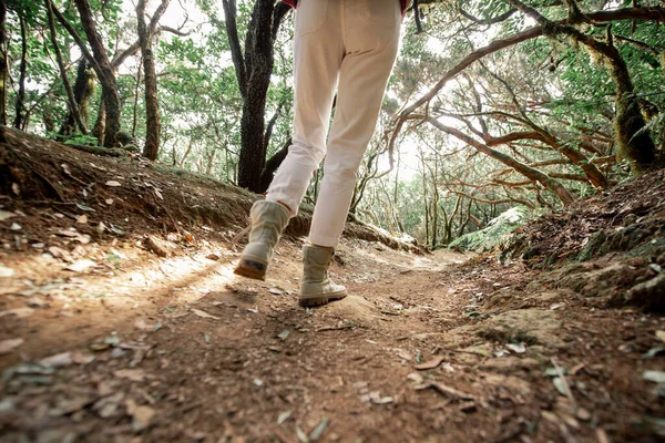 Woman trekking on the forest footpath — Stok fotoğraf
