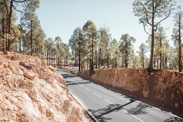 Camino en las montañas rocosas — Foto de Stock