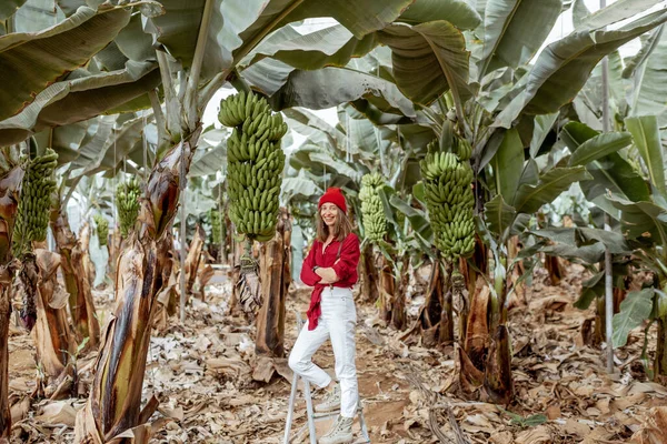 Mujer en la plantación de plátanos con una rica cosecha — Foto de Stock