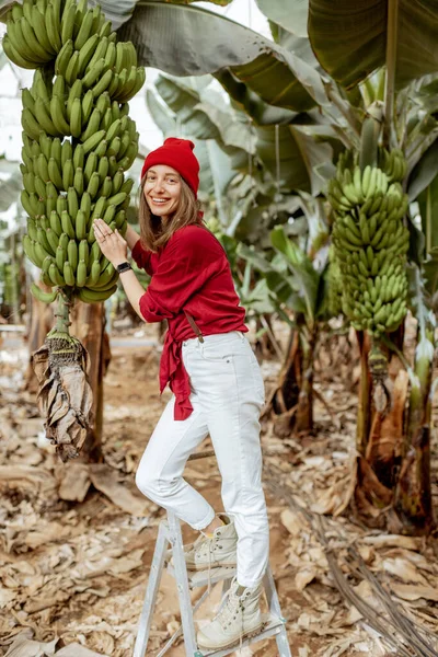 Portrait of a woman on banana plantation — Zdjęcie stockowe