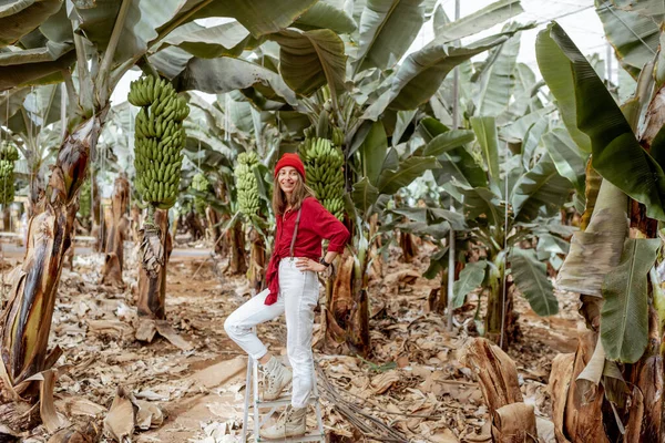 ผู้หญิงในสวนกล้วยกับการเก็บเกี่ยวที่อุดมไปด้วย — ภาพถ่ายสต็อก
