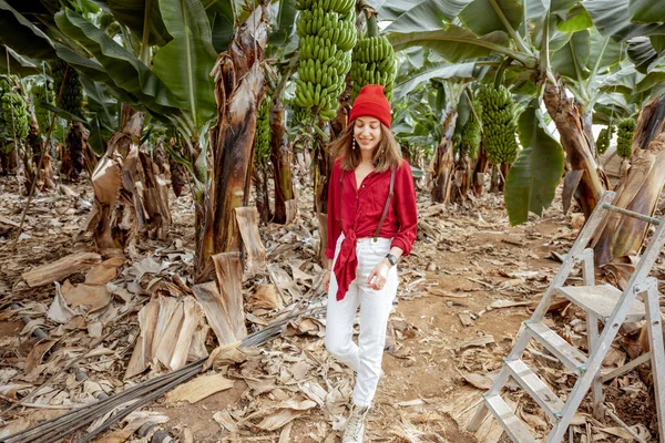 Mujer en la plantación de plátanos con una rica cosecha —  Fotos de Stock