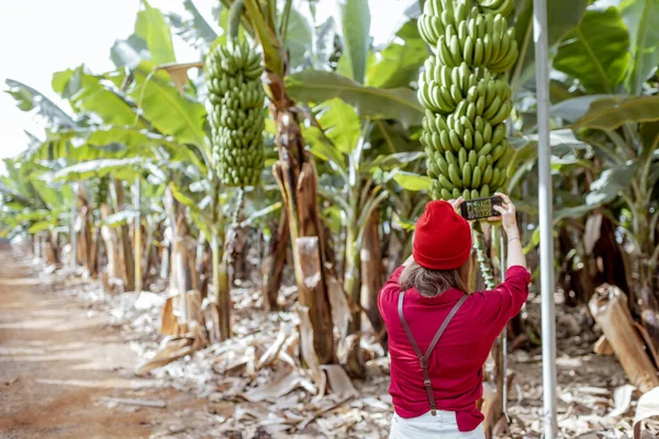 Woman traveling on bananna plantation — Stock Photo, Image