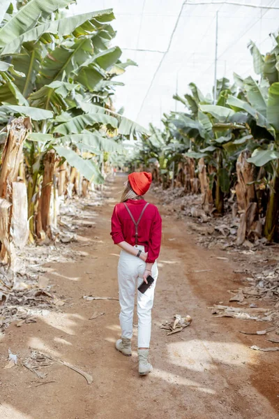 Woman traveling on bananna plantation — Stockfoto