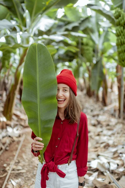 Beautiful woman with banana leaf on the plantation — 图库照片