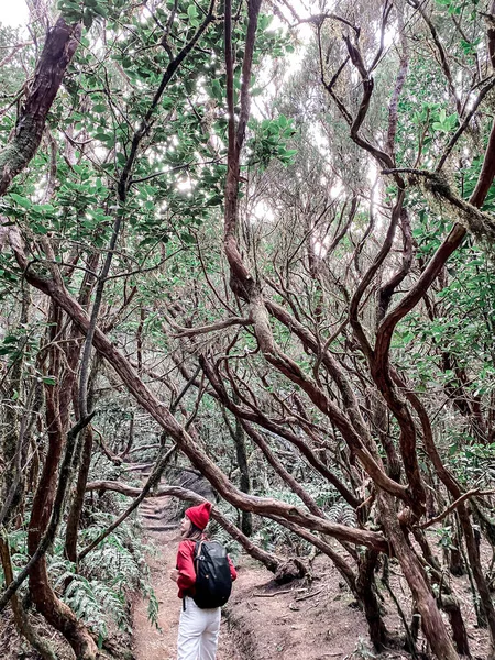 Mulher caminhando na bela floresta tropical — Fotografia de Stock