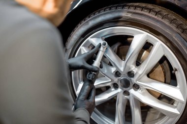 Polishing vehicle disc