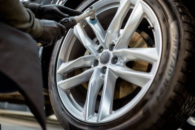 Polishing vehicle disc