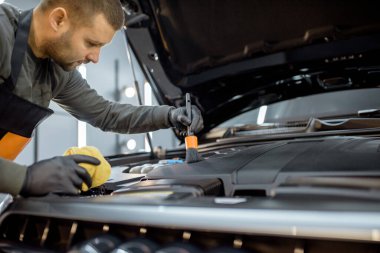 Professional car engine cleaning