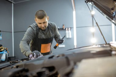 Professional car engine cleaning