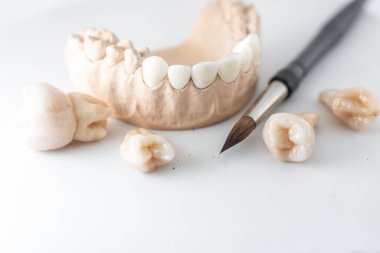 Model of artificial jaw with teeth