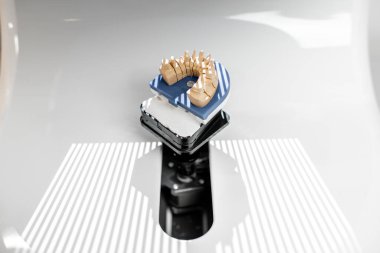 Scanning jaw model on the 3rd scanner