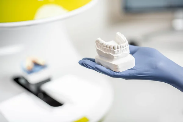 Holding a gypsum model of artificial jaw at the lab — Stok fotoğraf