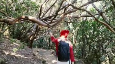 Woman hiking in the rainforest