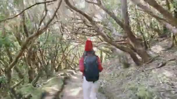 Mulher correndo na floresta tropical — Vídeo de Stock