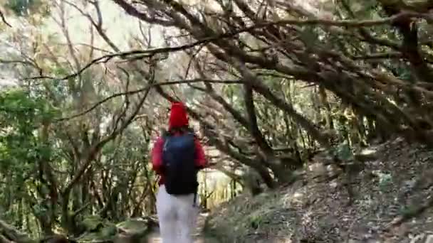 Mujer corriendo en la selva — Vídeos de Stock