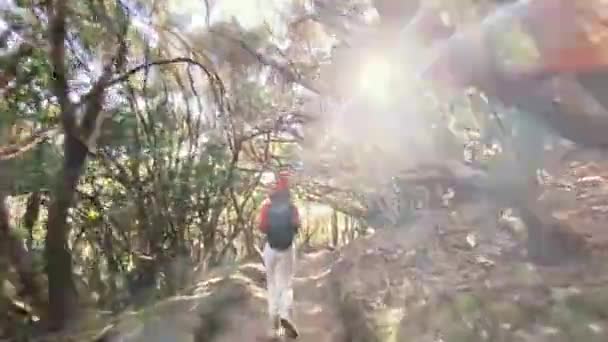 Mulher correndo na floresta tropical — Vídeo de Stock