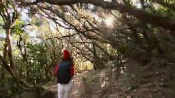 Donna che corre nella foresta pluviale — Video Stock