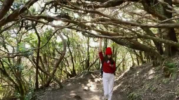 Mujer viajando en la selva tropical — Vídeos de Stock