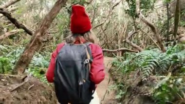 Woman hiking in the rainforest