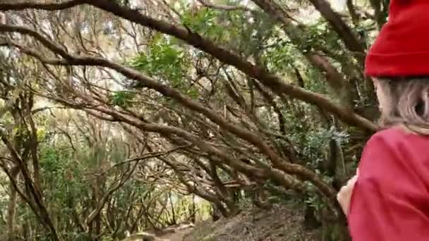 Woman hiking in the rainforest — Stockvideo