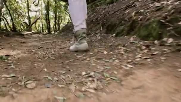 Mulher hikinf na floresta tropical — Vídeo de Stock