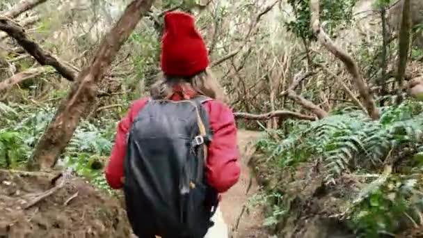 Woman hiking in the rainforest — Stockvideo