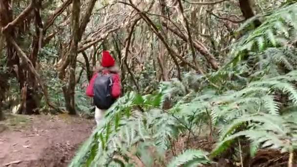 Γυναίκα πεζοπορία στο τροπικό δάσος — Αρχείο Βίντεο