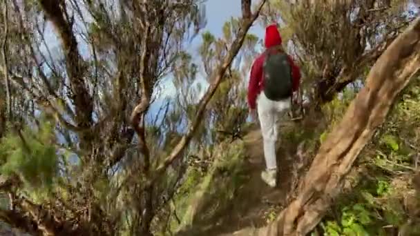 Женщина путешествует высоко в горах на острове — стоковое видео