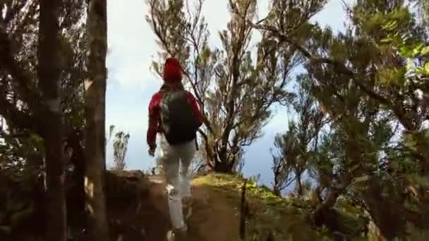 Женщина путешествует высоко в горах на острове — стоковое видео