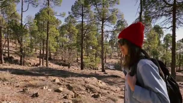 Mujer senderismo en el bosque muy en las montañas en una roca volcánica — Vídeos de Stock