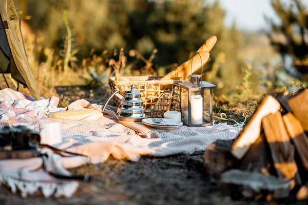 Camping i skogen – stockfoto