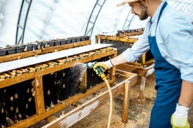 Salyangozlu bir çiftlikte çalışan adam.