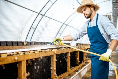 Salyangozlu bir çiftlikte çalışan adam.