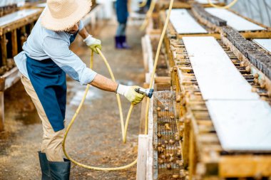 Salyangozlu bir çiftlikte çalışan adam.