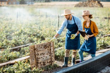 Çiftlikteki erkek ve kadın dışarıda salyangoz yetiştiriyor.