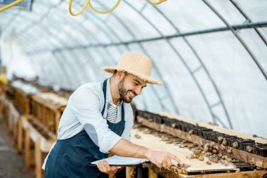 Çiftlikte salyangozlarla çalışan çiftçi.