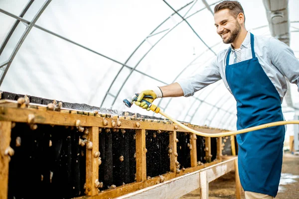 Hombre trabajando en una granja con caracoles — Foto de Stock