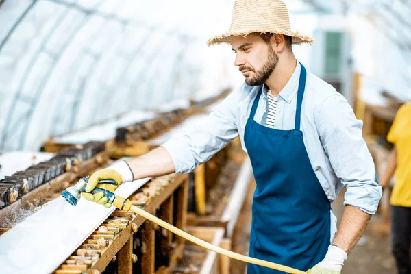 Man som arbetar på en gård med sniglar — Stockfoto