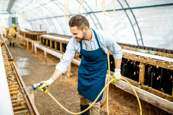 Egy férfi, aki csigákkal dolgozik egy farmon. — Stock Fotó