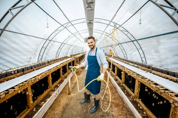 인간은 달팽이를 심은 농장에서 일하고 있다 — 스톡 사진