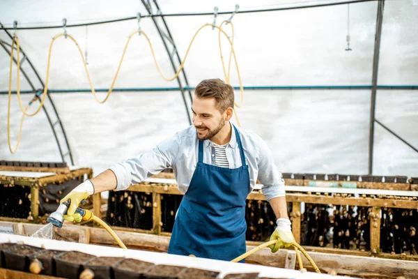 Man werkzaam op een boerderij met slakken — Stockfoto