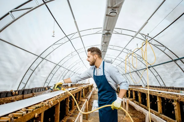 Man som arbetar på en gård med sniglar — Stockfoto