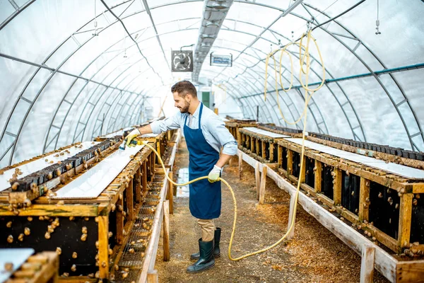 Egy férfi, aki csigákkal dolgozik egy farmon. — Stock Fotó