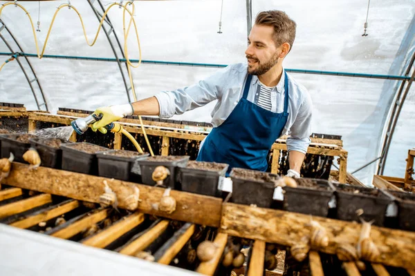 Hombre trabajando en una granja con caracoles — Foto de Stock