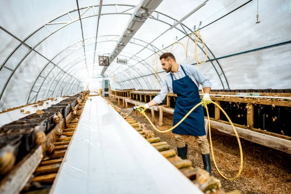 Hombre trabajando en una granja con caracoles — Foto de Stock