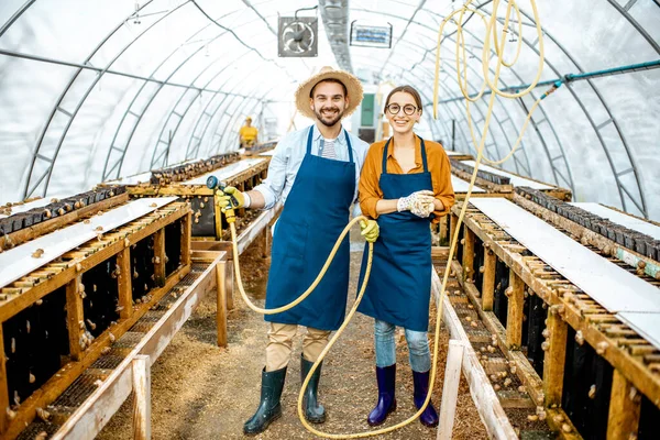 달팽이를 기르기 위해 농장에서 일하는 노동자들 — 스톡 사진