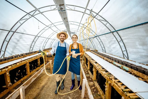 Trabajadores de una granja para caracoles en crecimiento — Foto de Stock