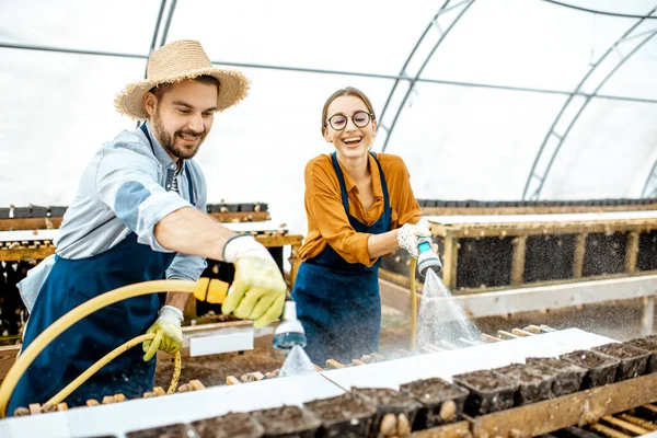 Hombre y mujer trabajando en la granja para caracoles que crecen —  Fotos de Stock